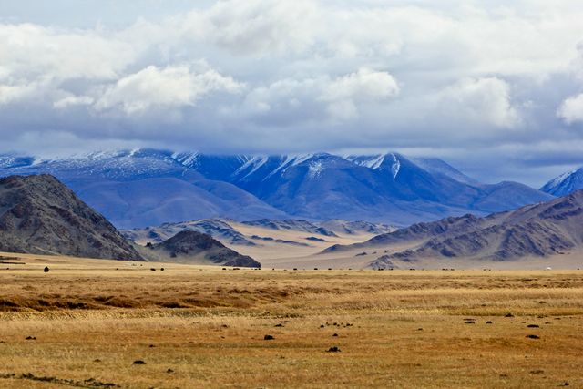 Ausschussreise in die Mongolei